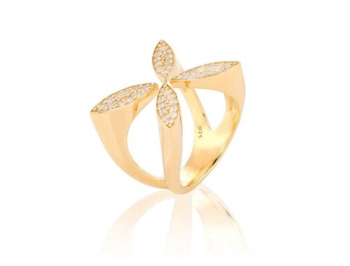 ring gynning
