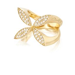 ring gynning
